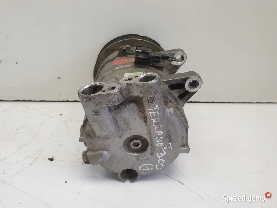 Nissan Terrano II 30 D SPRĘŻARKA KLIMATYZACJI lubelskie Chełm