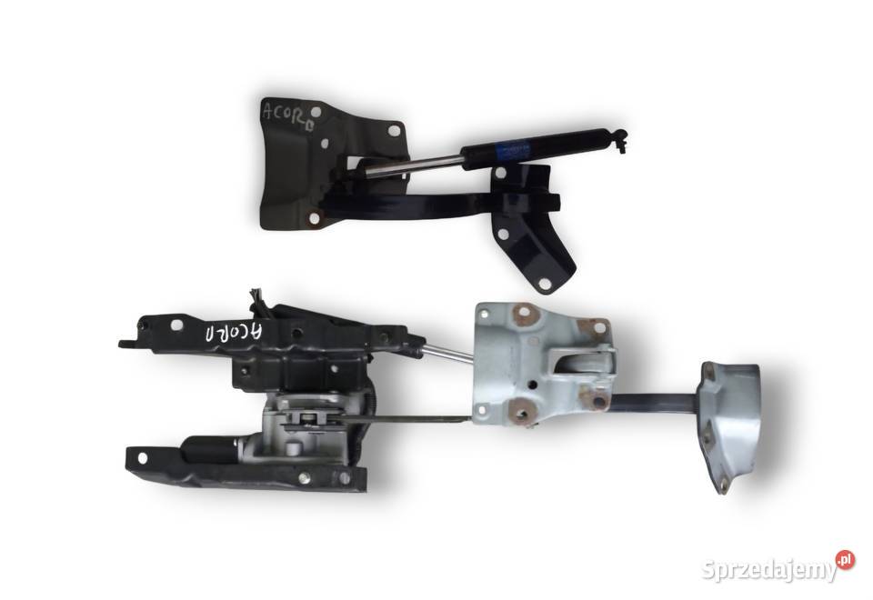 ZAWIAS LEWY PRAWY SIŁOWNIK KLAPY TYŁ HONDA Działoszyce