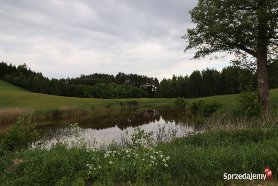 Dom wolnostojący do sprzedania 114 metry Udryn