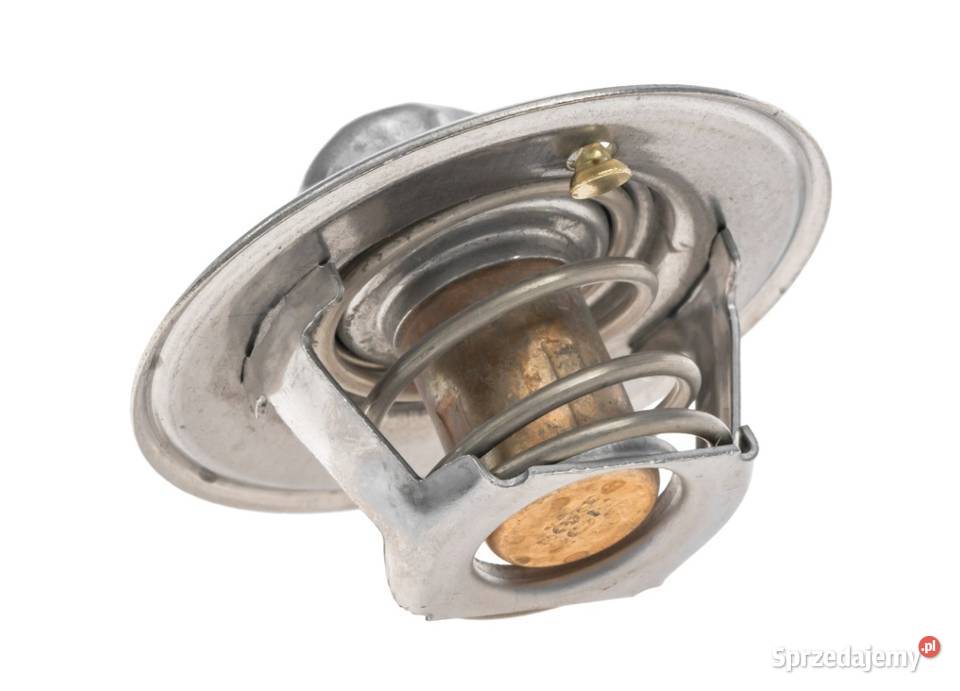 Termostat Austin Rover Austin Healey MG Głogów