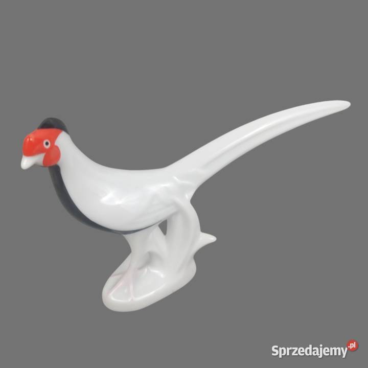 Look Bażant biało czarny porcelana Cluj Rumunia Bronisze sprzedam