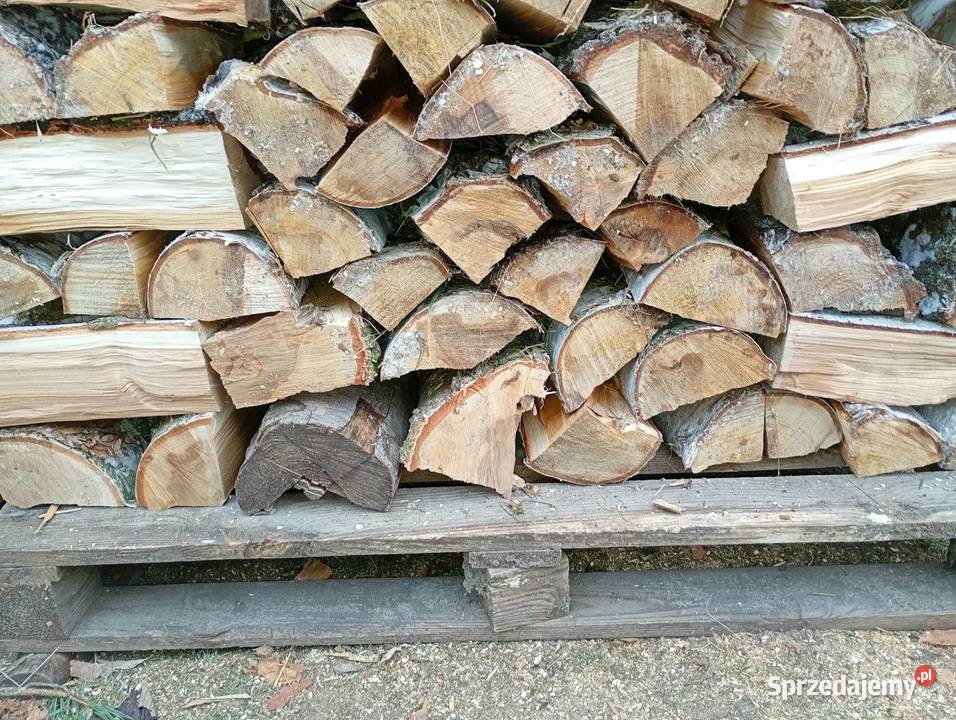drewno poałowe liściaste akacja brzoza Siekierki Małe