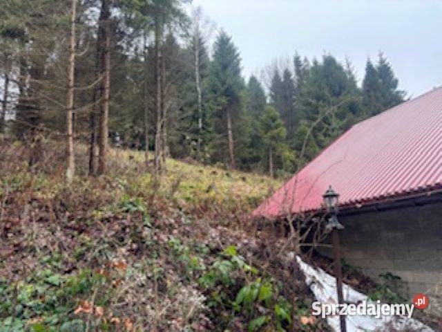 Syndyk Sprzeda udział 12 działka I Przetarg 7zł/m2