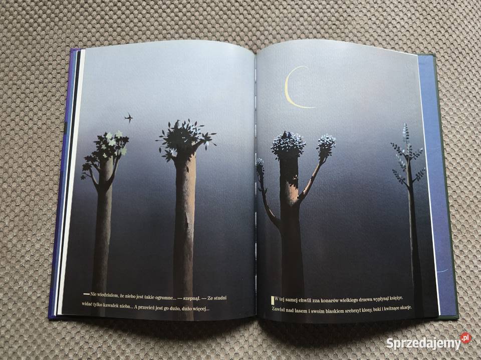 Małgorzata Strzałkowska Zielony i Nikt Kraków sprzedam