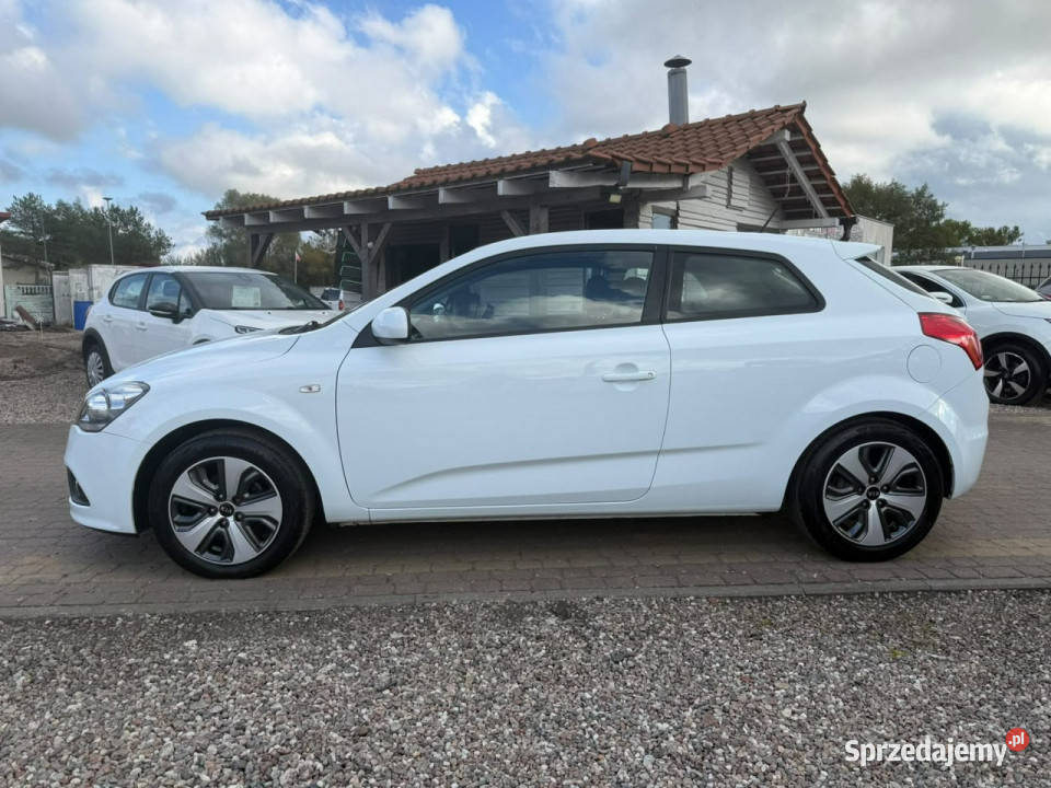 Kia Pro Ceed czujnik parkowania Słupsk