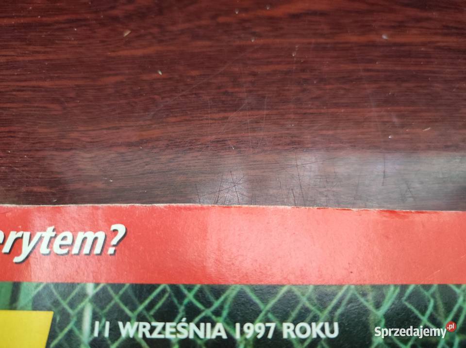 Fakty 11 września 1997 księżna Diana Matka Kielce