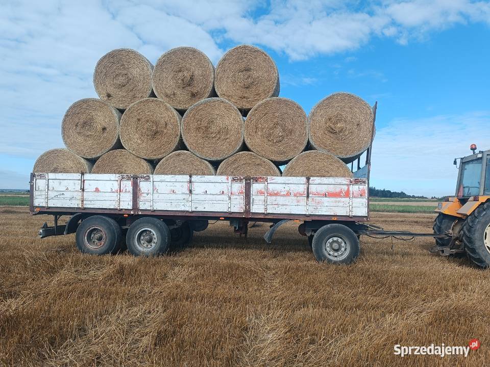 Słoma pszenna 150 w belach lubelskie Bychawa