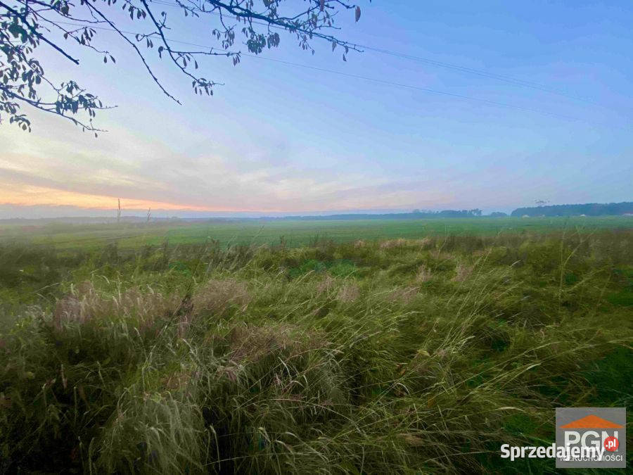 sprzedaży gruntu Mrzeżyno 1855 metrów 1855m2 zachodniopomorskie sprzedam