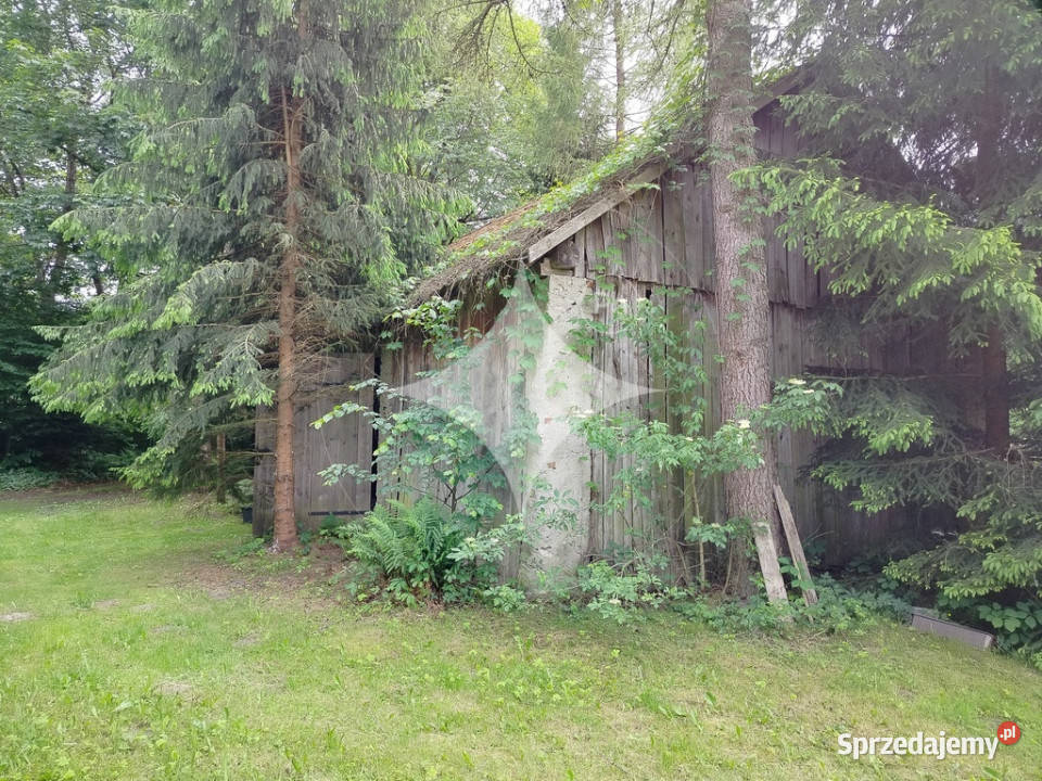 piękne ranczo z łąką i lasem pod HoryńcemZdrojem Sprzedaż Dziewięcierz sprzedam