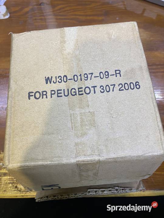 2x halogen peugeot 307 2006r żarówki Oświetlenie łódzkie Działoszyn