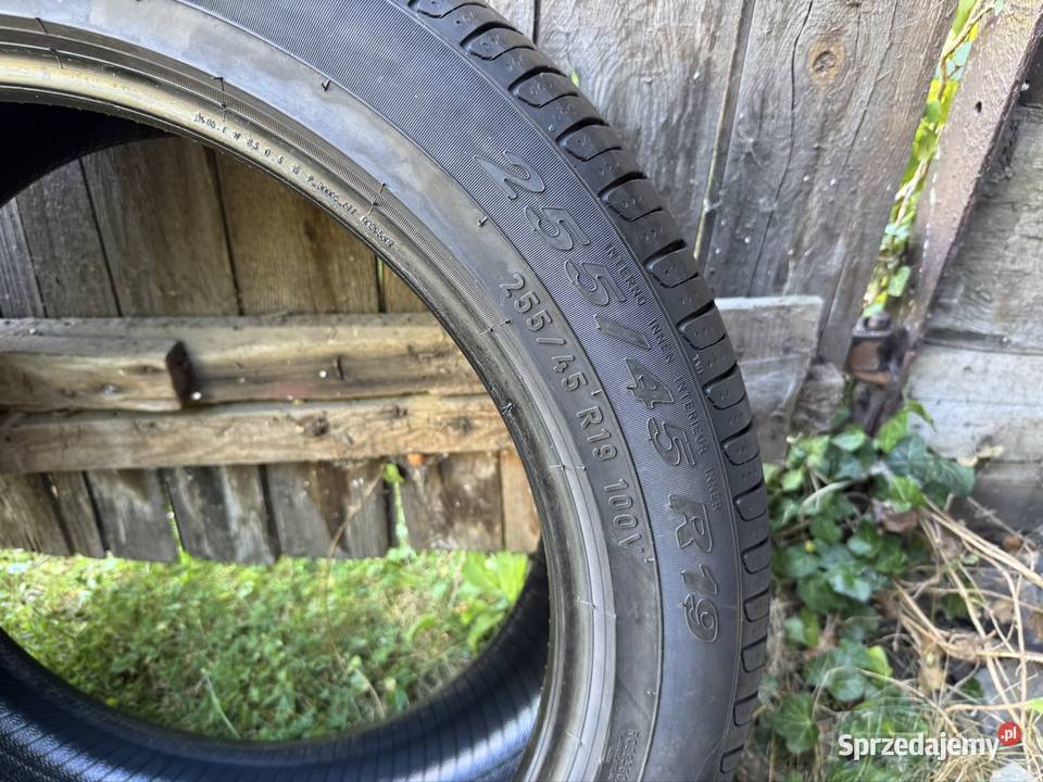 Pirelli scorpion verde 2554519