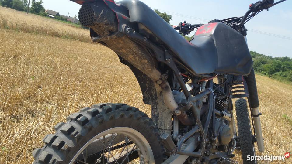 Suzuki dr 600 Swap Loncin 250 Łagowiec