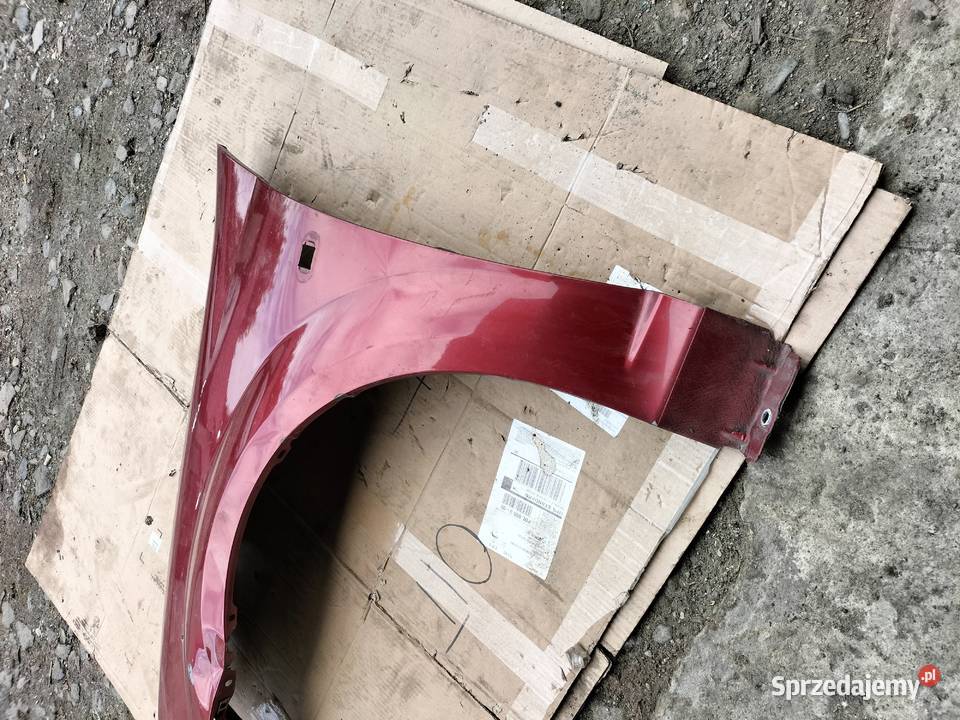 DACIA LOGAN I BŁOTNIK LEWY PRZÓD Błotniki Kamień-Kolonia