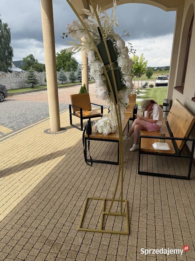 Piękny Jesion z nogami pająk Kielce