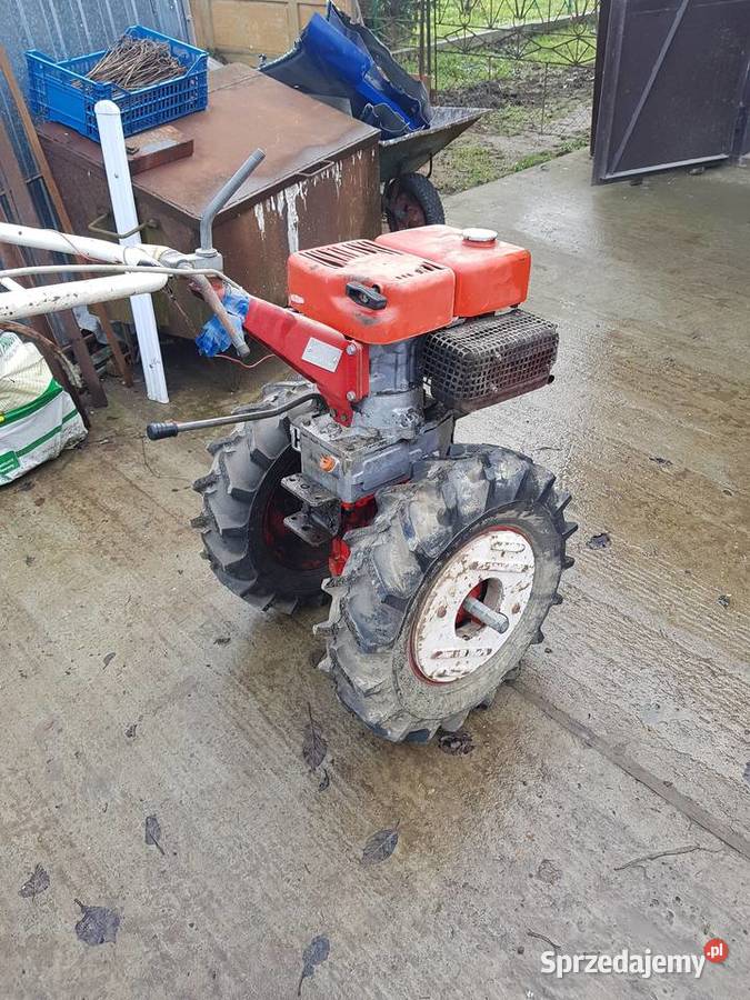 traktorek dzik robi Tropiszów