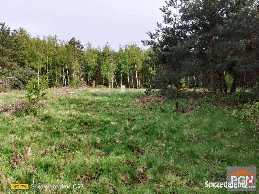 Grunt 4490m2 Dusin Dusin sprzedam
