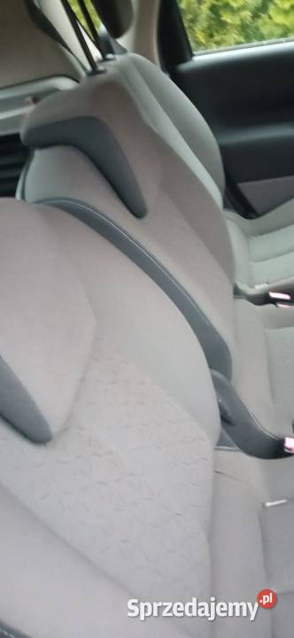 Renault Scenic lubelskie
