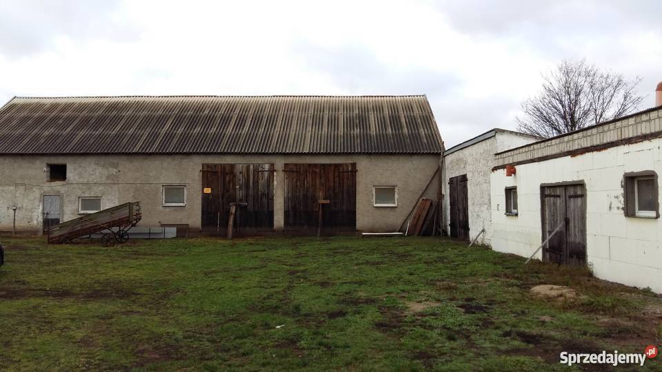 sprzedam gospodarstwo rolne Gierłoż Polska