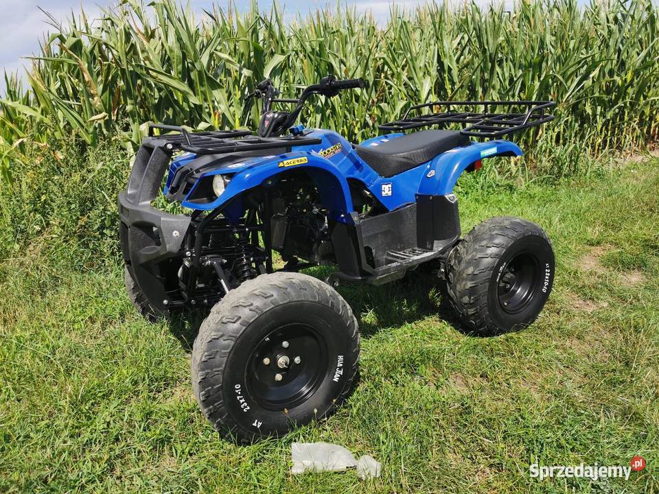 Duży wysoki Quad 200 rama XXI biegi 1 1 koła 10 czterosuwowy Pozostałe sprzedam