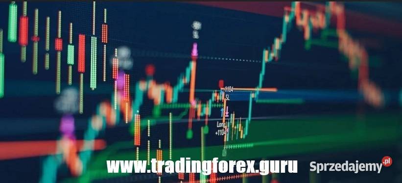 Narzędzie do zarabiania na rynkach FOREX Giełda