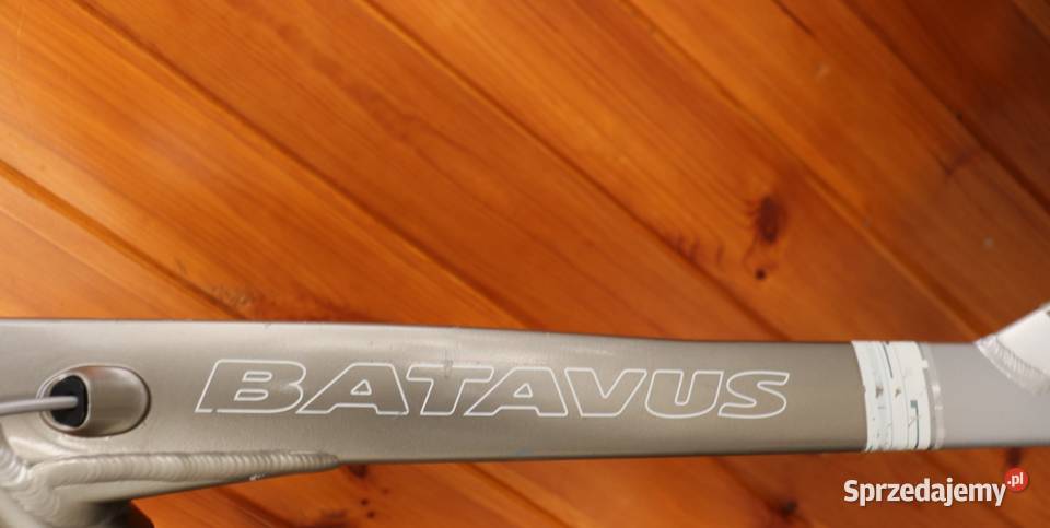 Rower damski Batavus Intermezzo D 53 I inne Milanówek