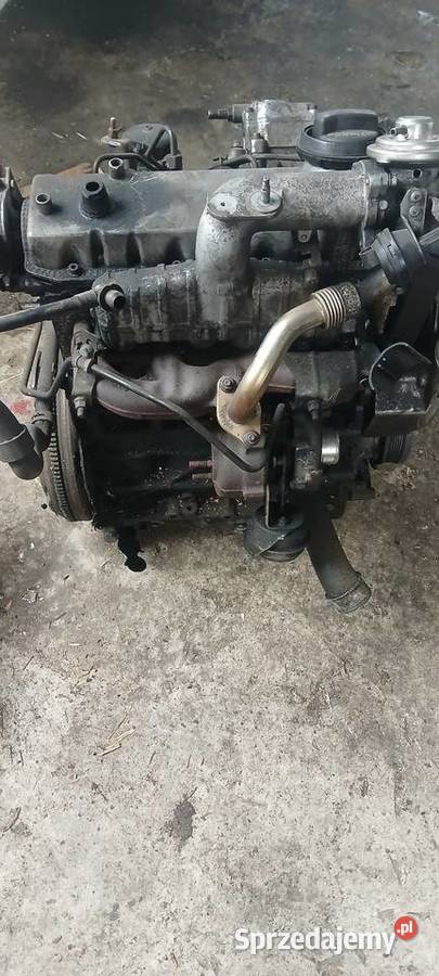 Silnik 19 tdi asv 110 Rzeszów