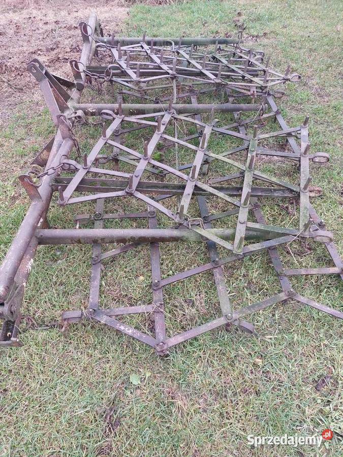 Brony polowe 5 piątki