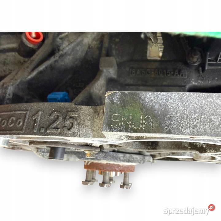 SILNIK SNJA Ford Fiesta VII MK7 125 82 benzyna lubelskie Chełm