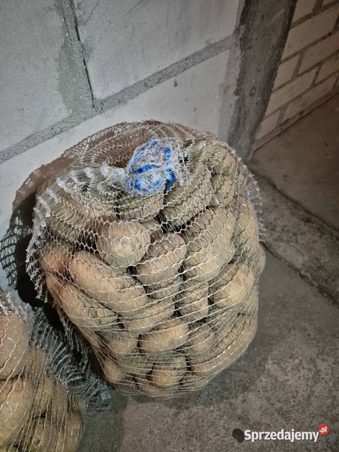 ziemniaki woreczek 15 12zl Łomża