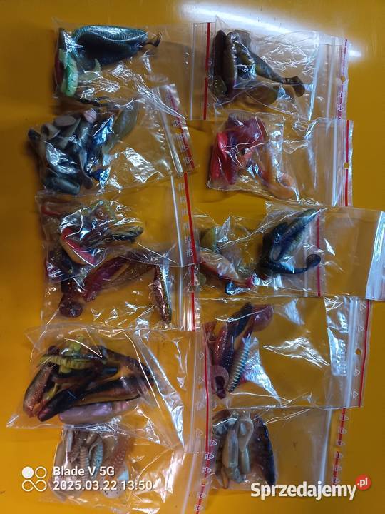 Gumy okoniowe Wyszków