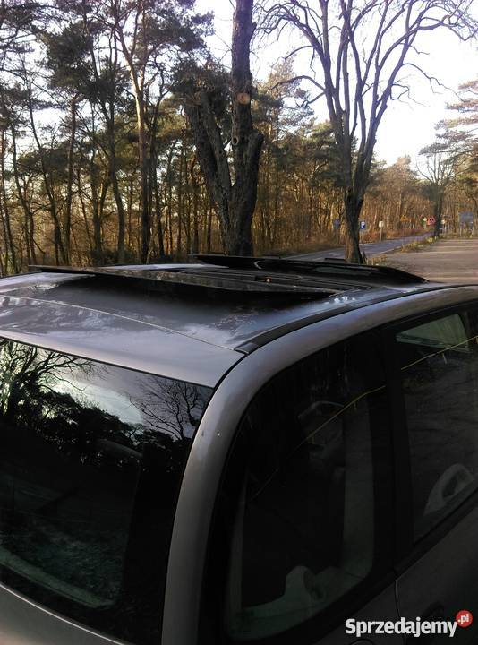 Fiat Multipla 19 jtd sprzedam