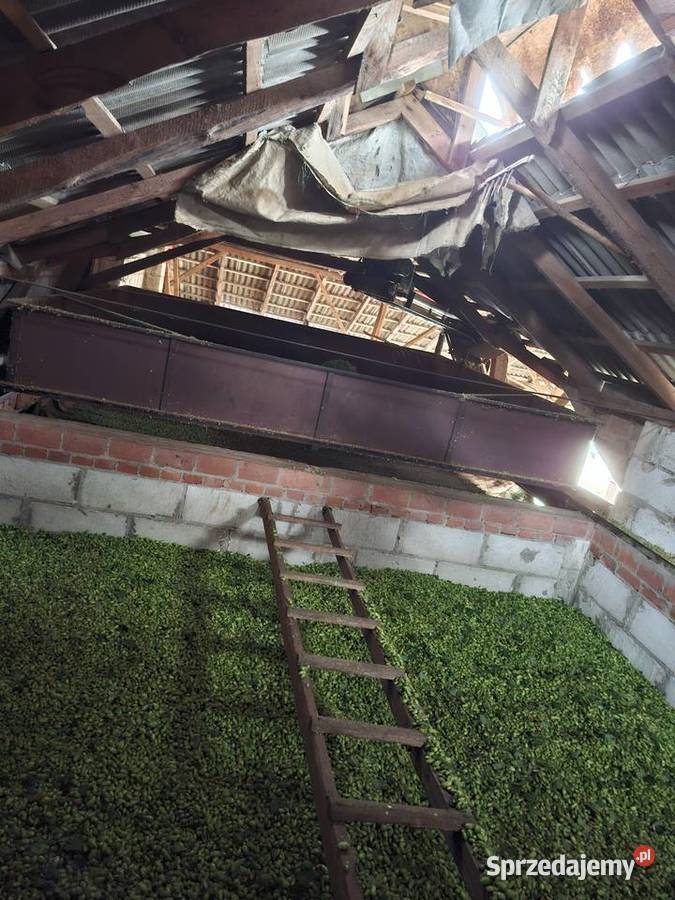 Zrywarka do chmielu Wolf whe 140 Borzechów