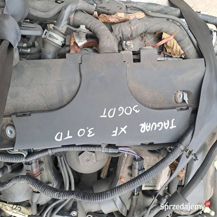 guar XF X250 Land Rover Discovery 30 TD V6 Silniki kompletne Jastrzębie-Zdrój