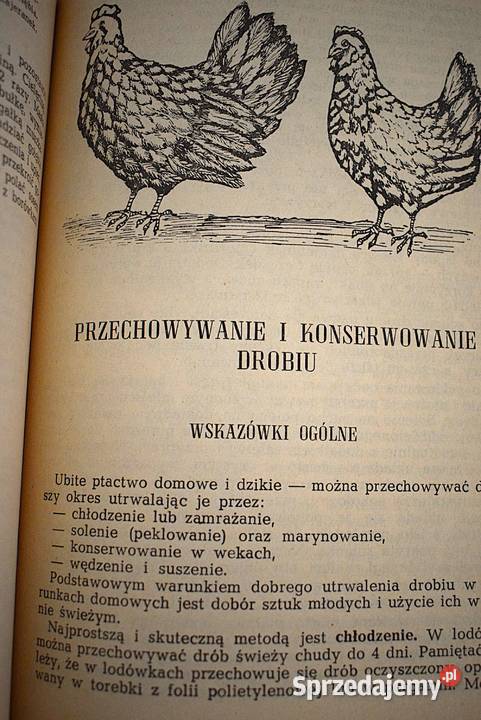 Potrawy z drobiu i dzikiego ptactwa Chełmno