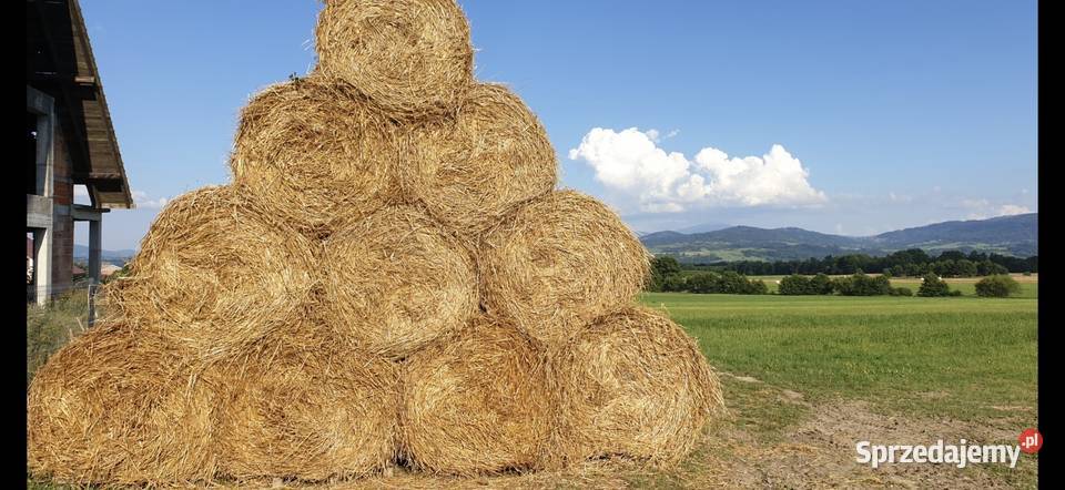 Słoma bele 130x120 Twardorzeczka