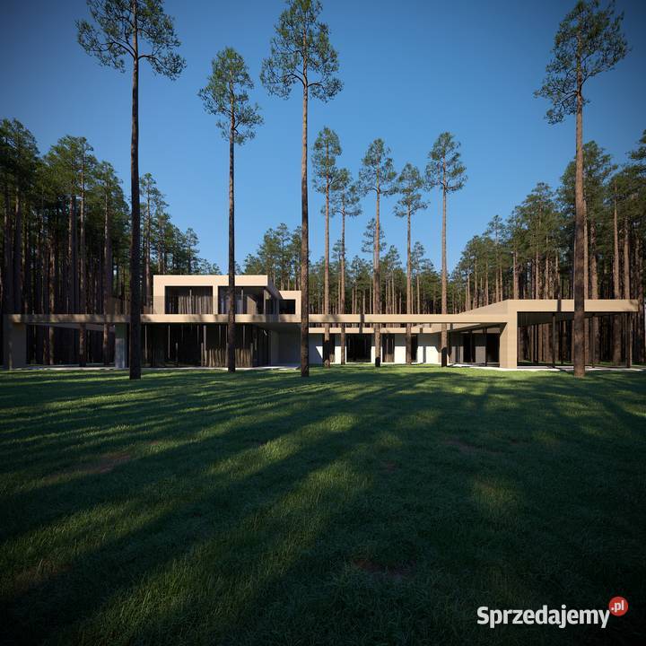 Architekt domów indywidualne projekty domów Łódź