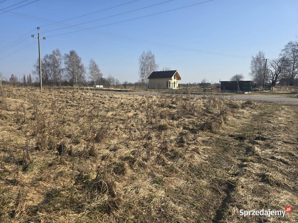 Mamry warmińsko-mazurskie