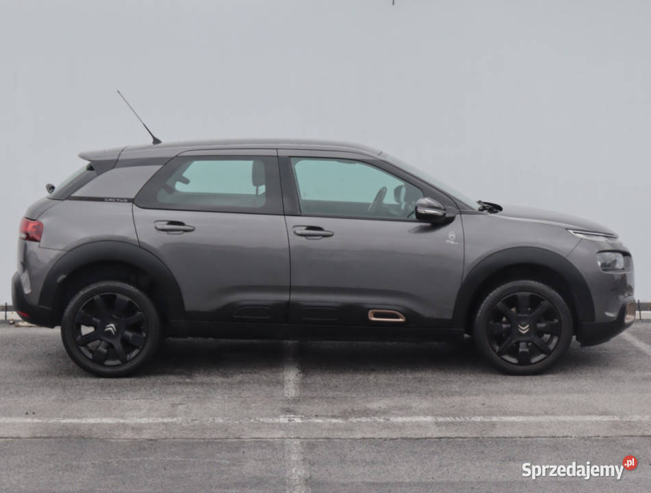 Citroen C4 Cactus 12 PureTech