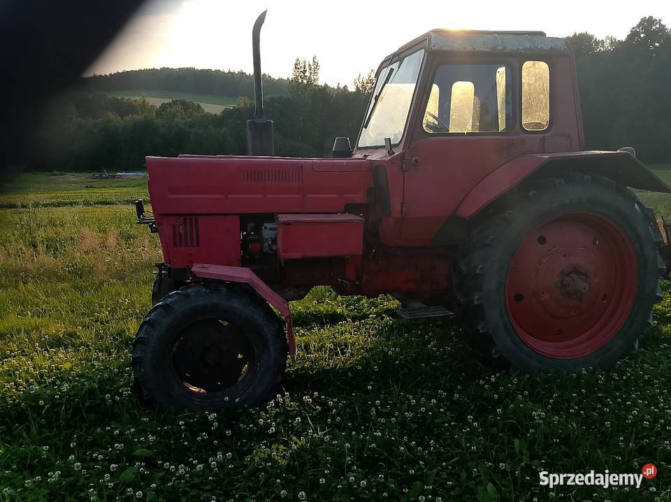 Mtz Jelenia Góra