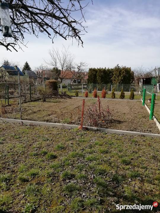 Sprzed ogródek działkowy Jelcz-Laskowice sprzedam