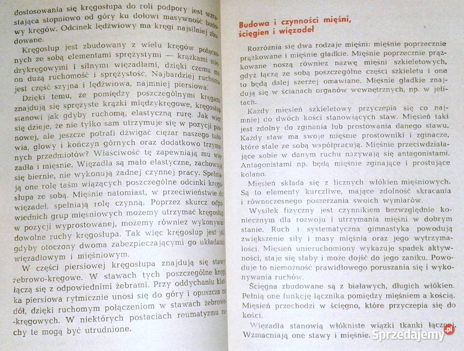 O reumatyzmie Maria SadowskaWróblewska Chełm