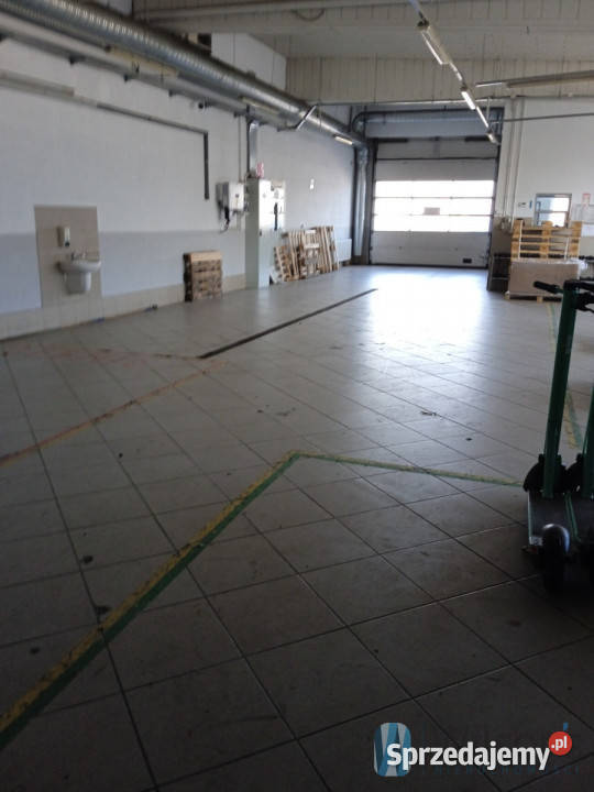 Do wynajęcia lokal 360m2 Radom Warszawska sprzedam