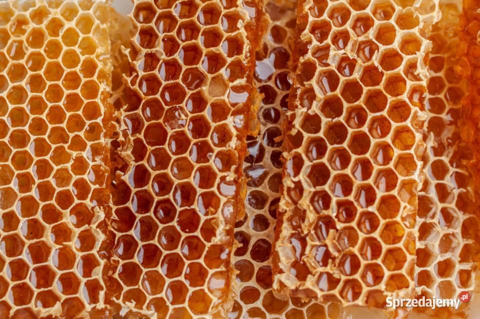 Prawdziwy Miód NATURALNY SPADZIOWOLIPOWY Spadź Wadowice sprzedam