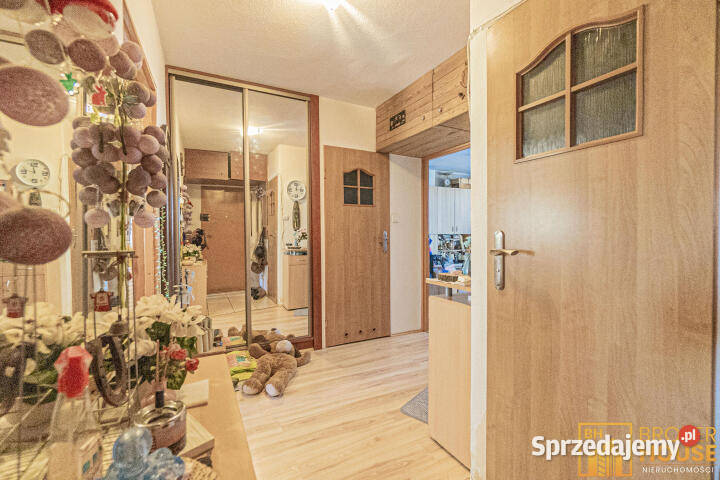 sprzedaży mieszkania Opole Piotrkowska 619m2 Nieruchomości