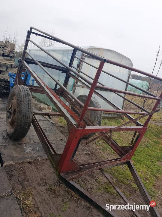 Przyczepka Klatka nieuszkodzony lubelskie Lubartów
