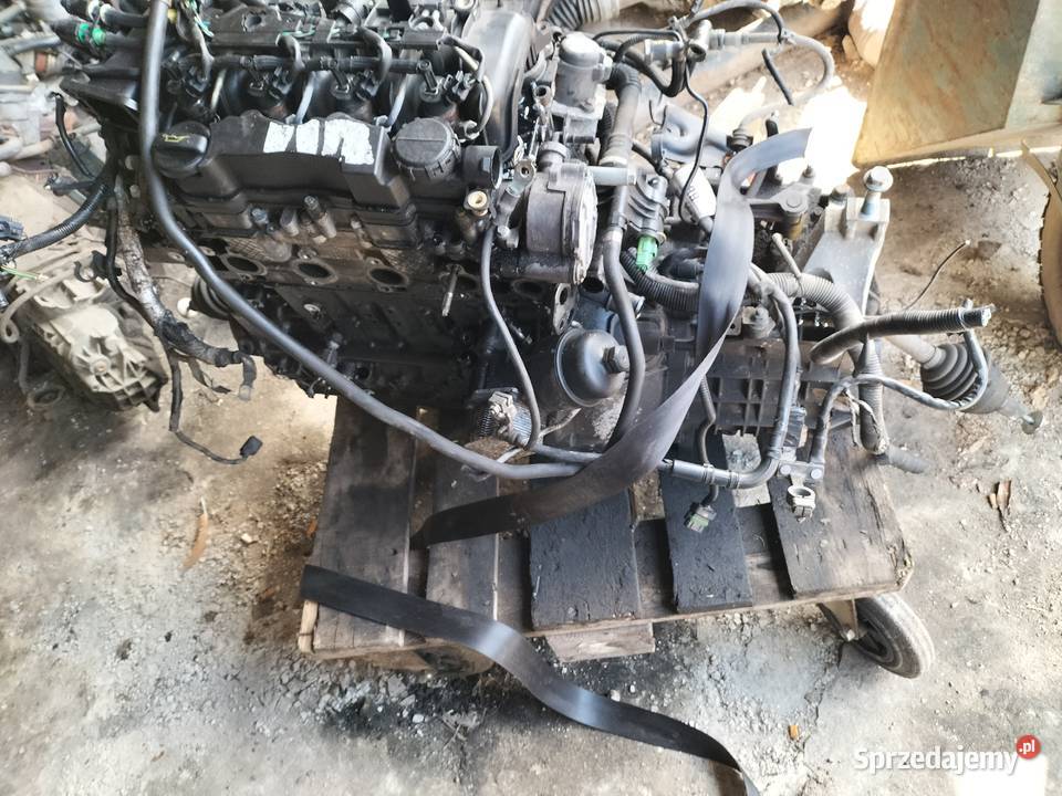 FORD FOCUS C MK1 16 TDCI SKRZYNIA BIEGÓW SILNIK Kamień-Kolonia