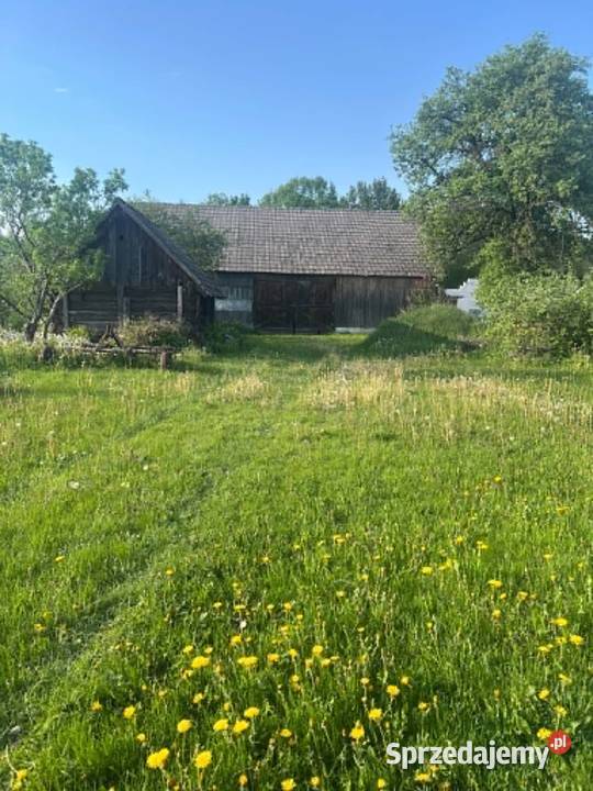 Pranie tapicerki dywanów i pielęgnacja ogrodów Białystok