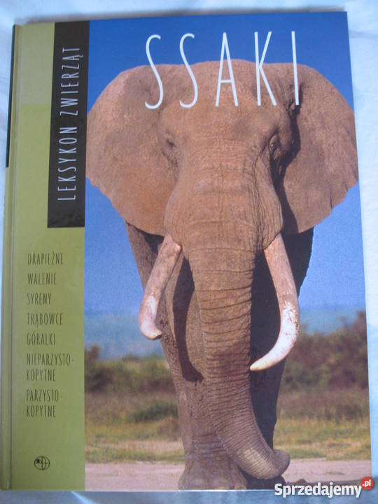 Leksykon zwierząt Rybnik