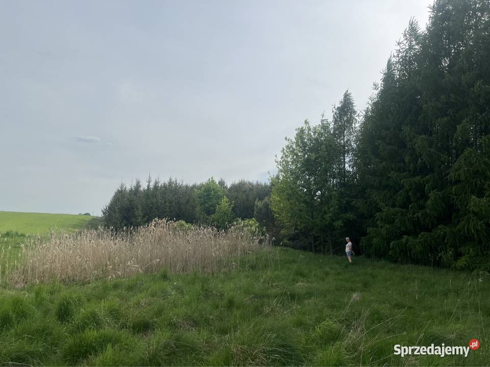 Siedlisko Gospodarstwo rolne Bazanów Stary Moszczanka