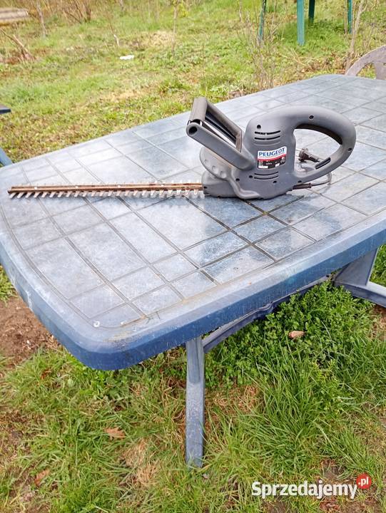 Dom i ogrod Pozostałe Krosno Odrzańskie